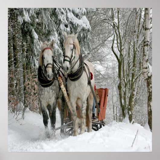 Wintertime Sleigh Ride Poster (Voorkant)