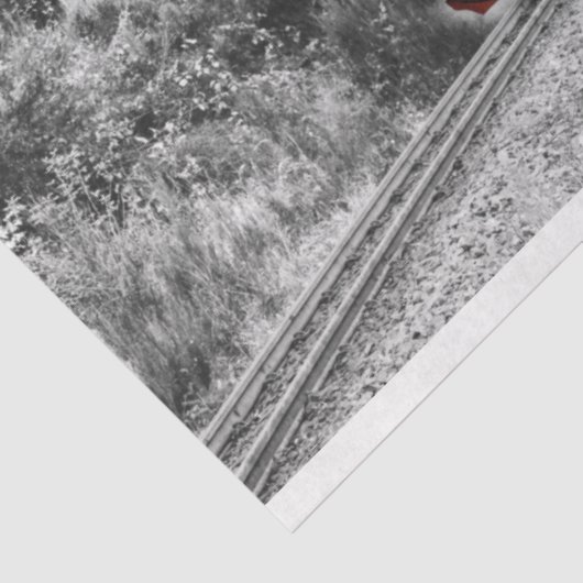 wintertreindienstpapier tissuepapier (Detail)