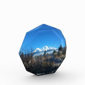 WinterUitzicht op Mount Shasta, CA Fotoblokken (Links)