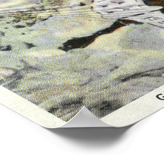 WinterUitzicht van de haven van Marblehead Poster (Hoek)