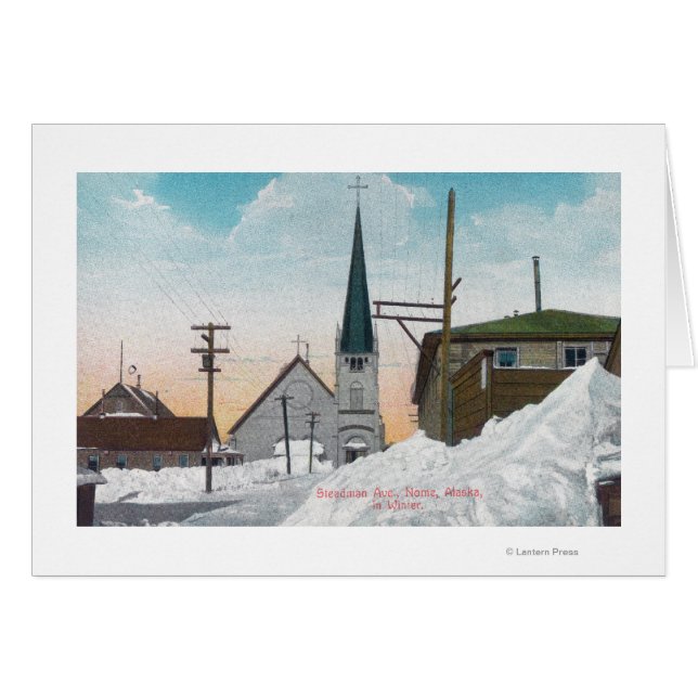 WinterUitzicht van Steadman Avenue, bedekt in snee (Voorkant Horizontaal)