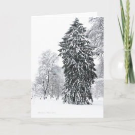 Wintervakantie in het Boston Public Garden Park Feestdagen Kaart