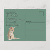 Wintervieringen in de sneeuw, met katjes aankondigingskaart (Achterkant)