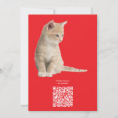 Wintervieringen in de sneeuw, met katjes kaart (Achterkant)