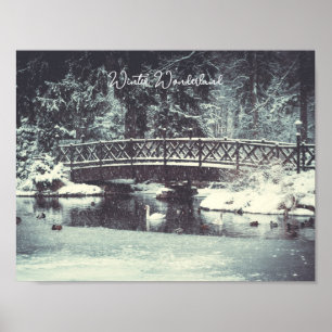 Wintervijver Poster