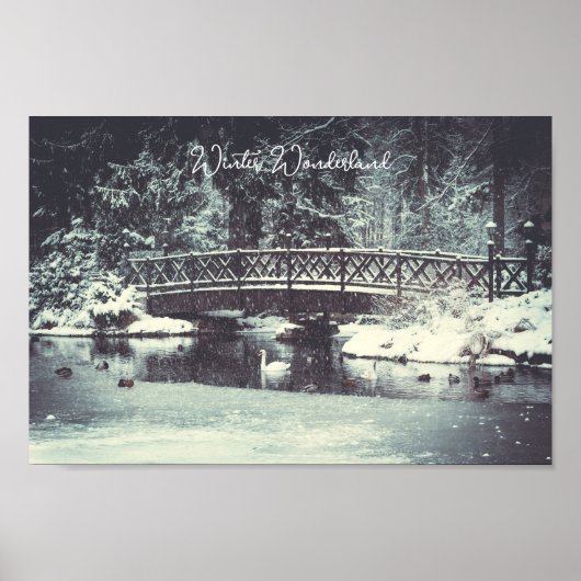 Wintervijver Poster (Voorkant)