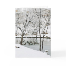 wintervijvervakantiekaart