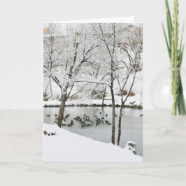 wintervijvervakantiekaart feestdagen kaart