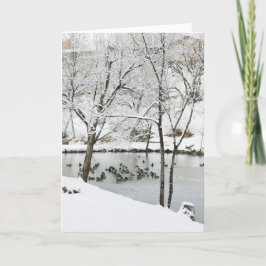 wintervijvervakantiekaart feestdagen kaart