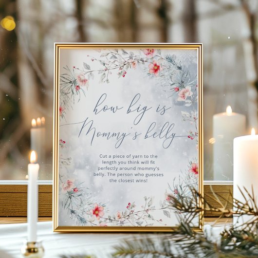 Wintervlokjes hoe groot is mama's buik spel poster
