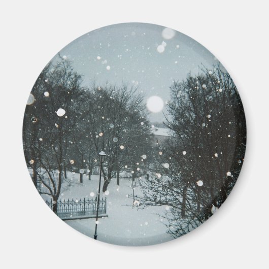Wintervlokken Magneet (Voorkant)