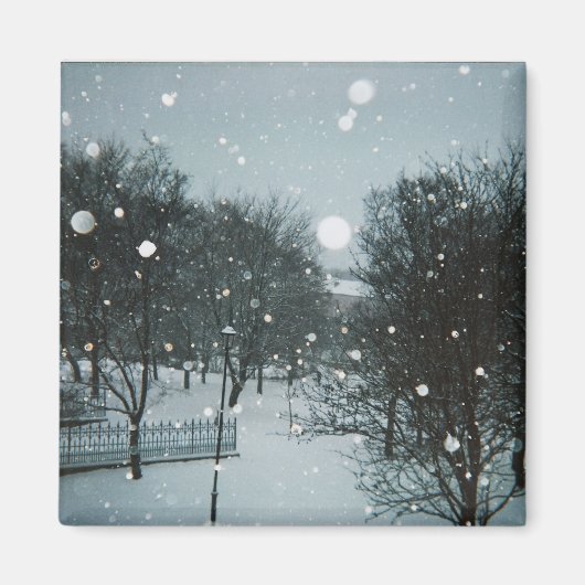 Wintervlokken Magneet (Voorkant)