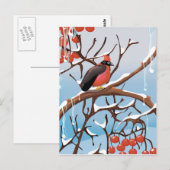 wintervogel briefkaart (Voorkant / Achterkant)