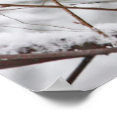 Wintervogel in de sneeuw poster (Hoek)