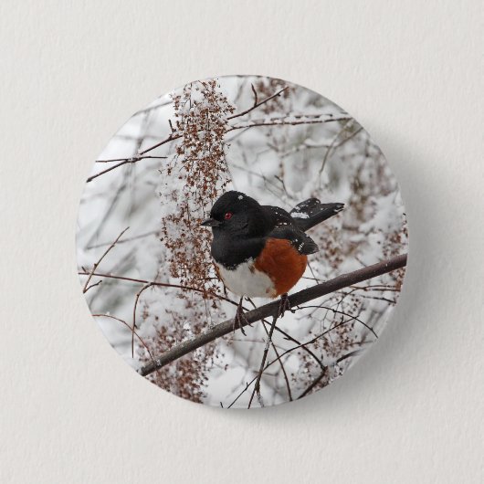 Wintervogel in de sneeuw ronde button 5,7 cm (Voorkant)