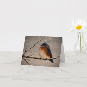 Wintervogel Kaart