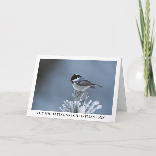 Wintervogel op bevroren dennentak feestdagen kaart (Voorkant)