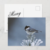 Wintervogel op bevroren dennentak feestdagenkaart (Voorkant / Achterkant)