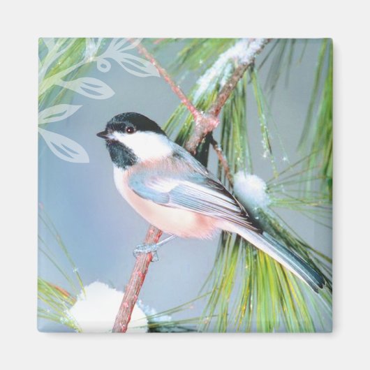 Wintervogelmagneet Magneet (Voorkant)