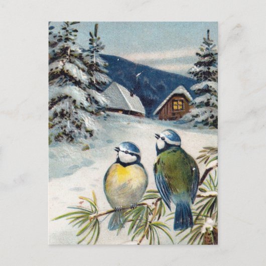 wintervogels briefkaart (Voorkant)