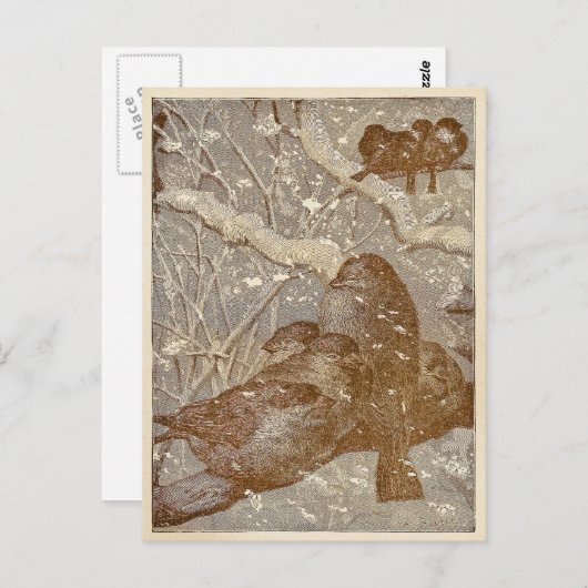 Wintervogels Briefkaart (Voorkant / Achterkant)