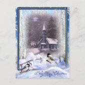 Wintervogels Briefkaart (Voorkant)