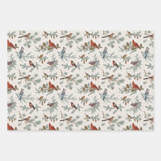 Wintervogels en dennentakken patroon inpakpapier vel (Voorkant 3)