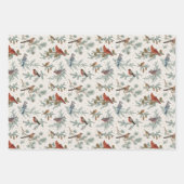 Wintervogels en dennentakken patroon inpakpapier vel (Voorkant)