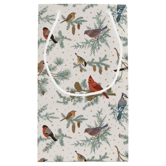 Wintervogels en dennentakken patroon klein cadeauzakje (Achterkant)