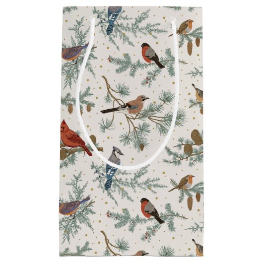 Wintervogels en dennentakken patroon klein cadeauzakje (Voorkant)