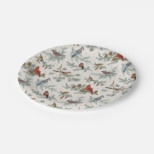 Wintervogels en dennentakken patroon papieren bordje (Gekanteld)