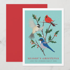 Wintervogels geïllustreerd feestdagenkaart