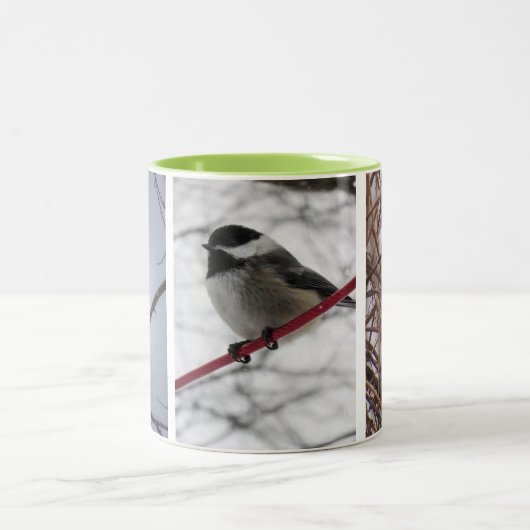 Wintervogels Mok (Center)