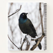Wintervogels Notitieboek (Achterkant)