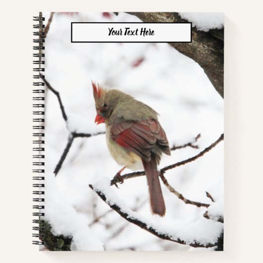 Wintervogels Notitieboek (Voorkant)