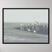 Wintervogels Poster (Voorkant)