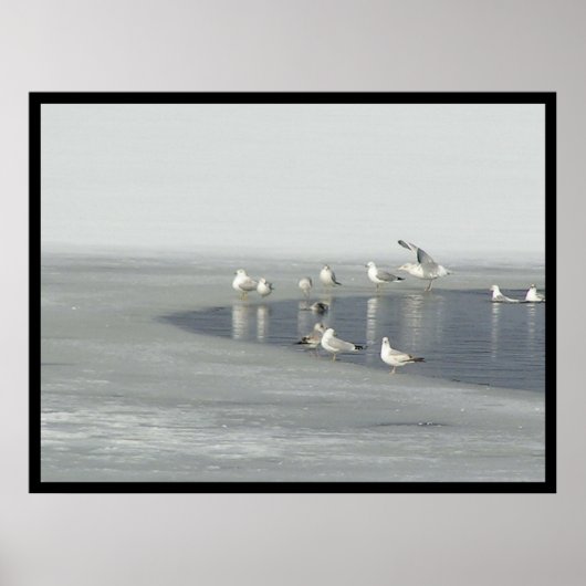 Wintervogels Poster (Voorkant)