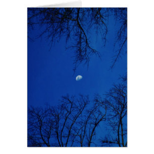 Wintervolle maan met bomen