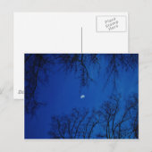 Wintervolle maan met bomen briefkaart (Voorkant / Achterkant)
