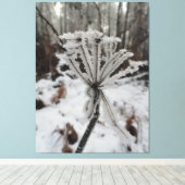 Wintervorst op planten in de bosfotografie canvas afdruk (Insitu (Houten vloer))