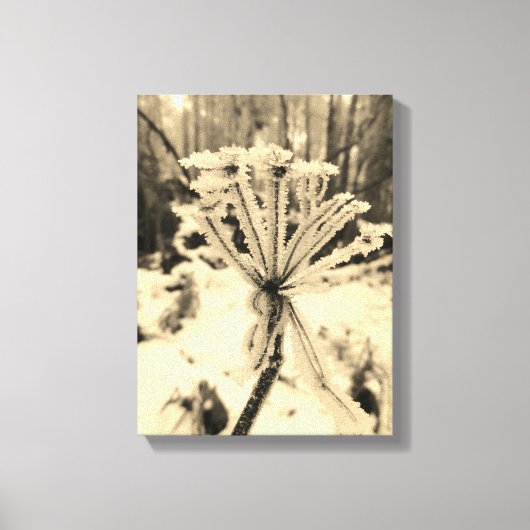 Wintervorst op planten in de bosfotografie canvas afdruk (Voorkant)