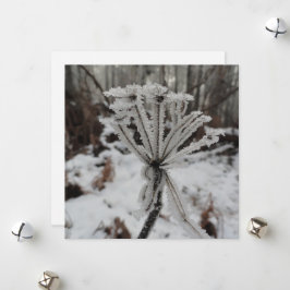 Wintervorst op planten in het bos feestdagenkaart