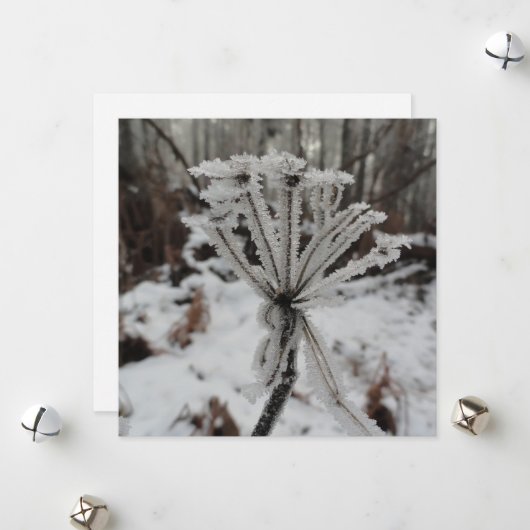 Wintervorst op planten in het bos feestdagenkaart (Voorkant / Achterkant in situ)