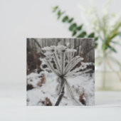 Wintervorst op planten in het bos feestdagenkaart (Staand voorkant)