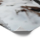 Wintervorst op planten in het bos poster (Hoek)