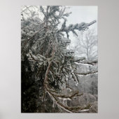 Wintervorst Poster (Voorkant)