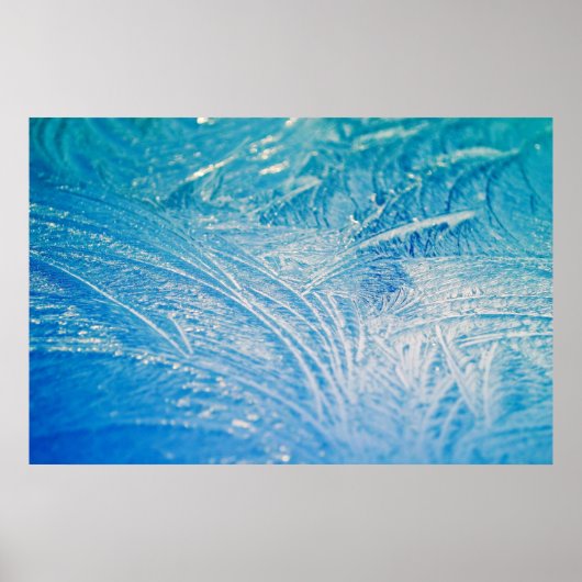 Wintervorst Poster (Voorkant)