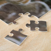 Wintervorst Wilde Rudbeckia Blooms Foto Legpuzzel (Zijkant)