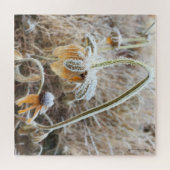 Wintervorst Wilde Rudbeckia Blooms Foto Legpuzzel (Horizontaal)