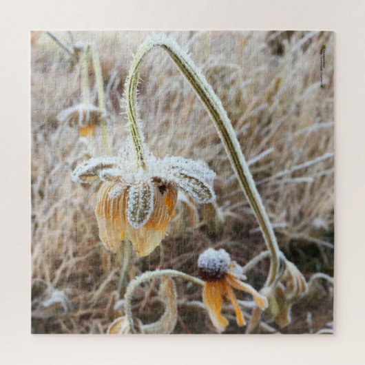 Wintervorst Wilde Rudbeckia Blooms Foto Legpuzzel (Verticaal)
